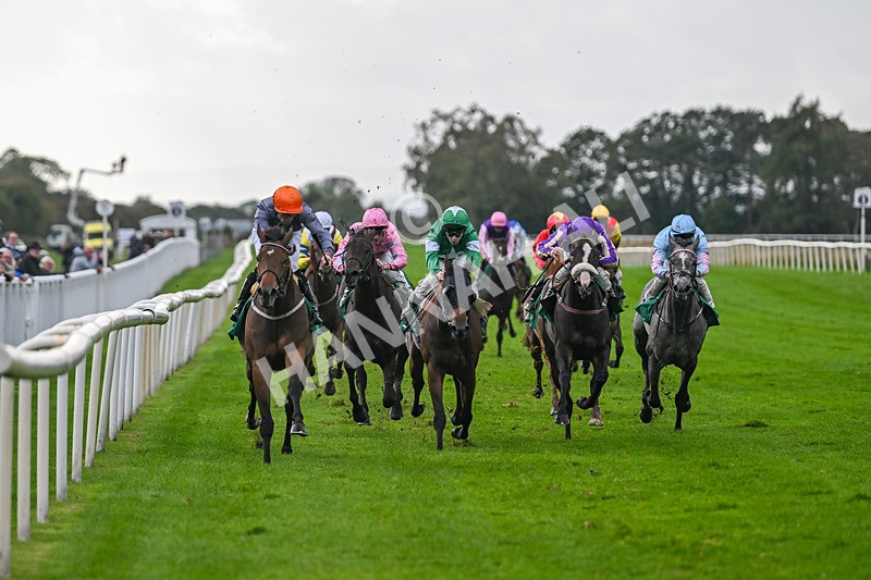 150925-Race 5-Draupnir-2996 - Race 5