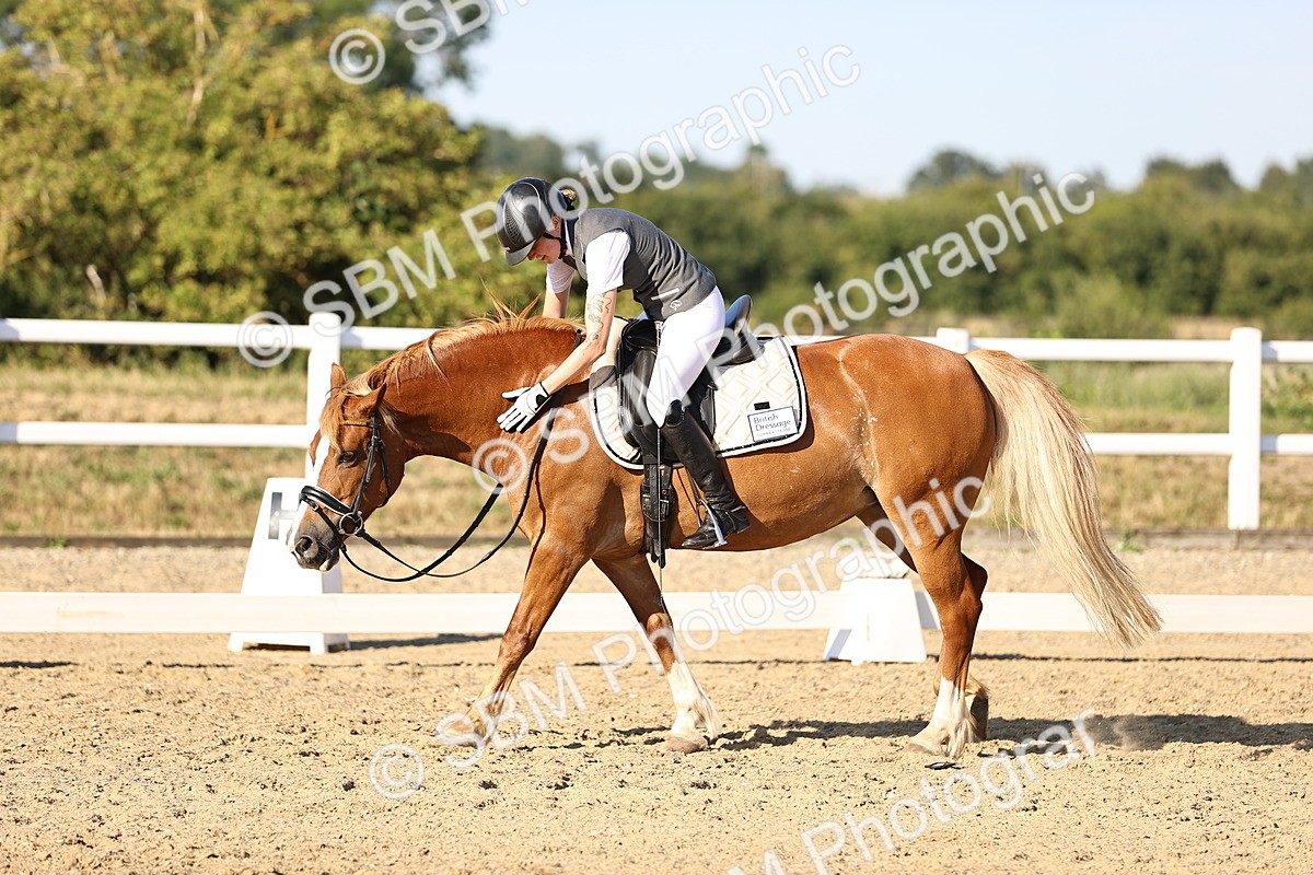 SBM_007743 - Elementary 4 - 17.07-18.22