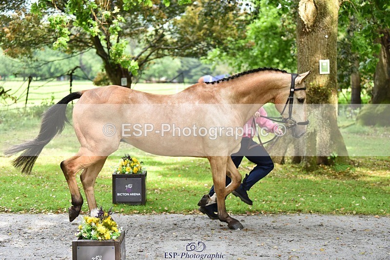 240522-155902-00621 - 109-MJM_BOBBY_DAZZLER-Rosie_Ringer