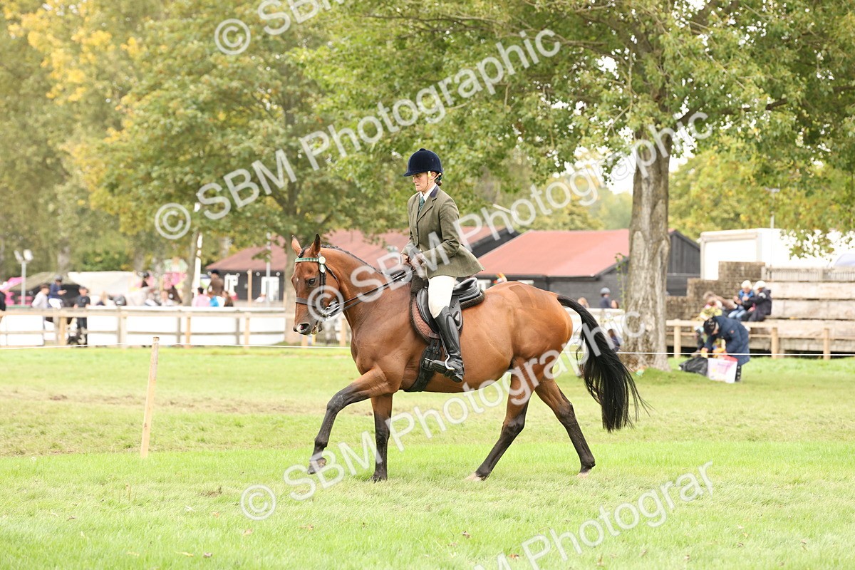 SBM_64228 - S65 - Riding Horse & Hack & Thoroughbred Ridden