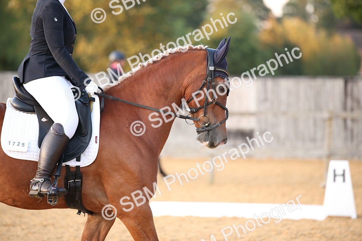 SBM_31629 - D11 - Small Tour Championship - Prelim 13