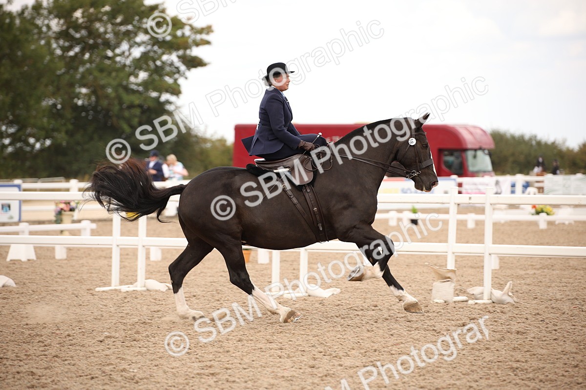 SBM_05349 - Class 22 SSA Equitation