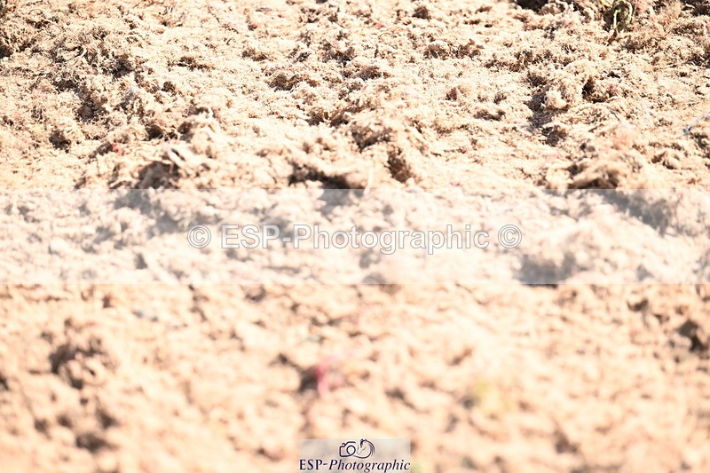 260318B-125813-00487 - Newcomers 1.10m & National 1.15m