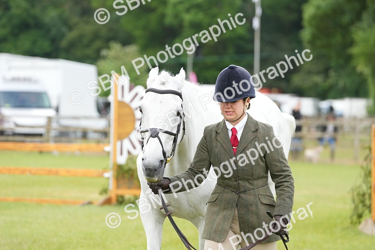 SBM_12739 - Class 97-98 - LIHS BSHA Rising Star Working Show Horse Hunter