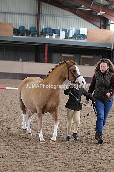 SIAL5158 - Neighfield Pony Show April 2025