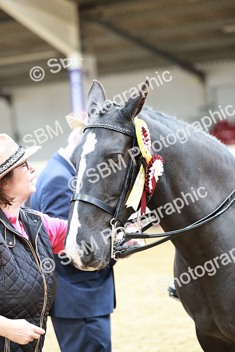 SBM_02338 - Class 4A - Area Ridden Diamond