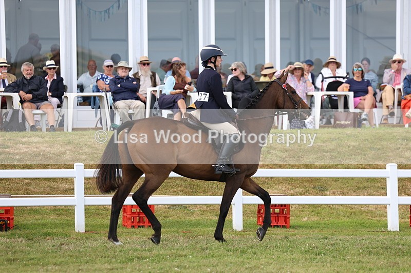 3E7A2335 - Class 11: Retraining of Racehorse