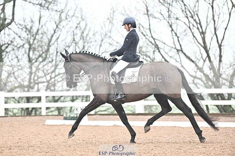 250215-133125-03879 - 165-Elder.Klatzko-Dynasty.Hit