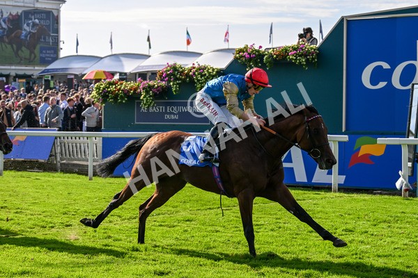 111025-Race 1-Division-0198 - Race 1 Coral Rockingham Stakes at York