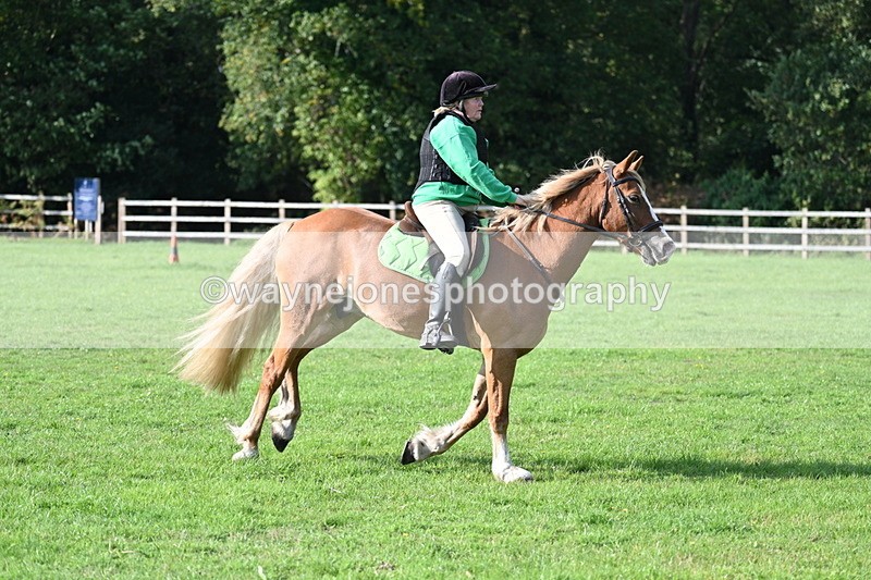 WJ7_3480 - 40cm Time 10:08 to 10:25