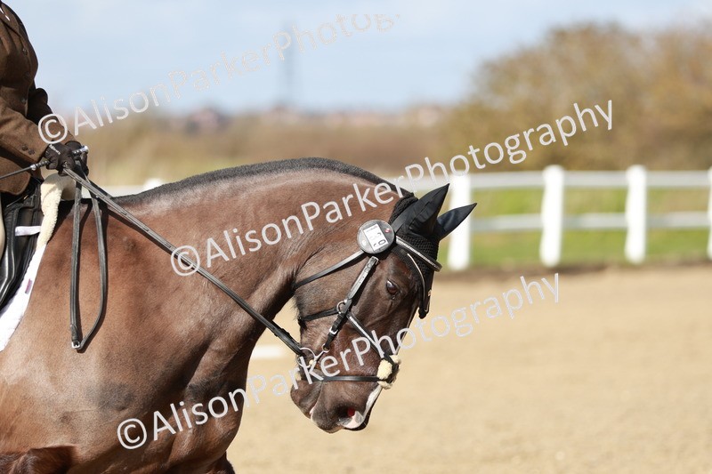 20260314-3038 - DR3 - Prelim 1