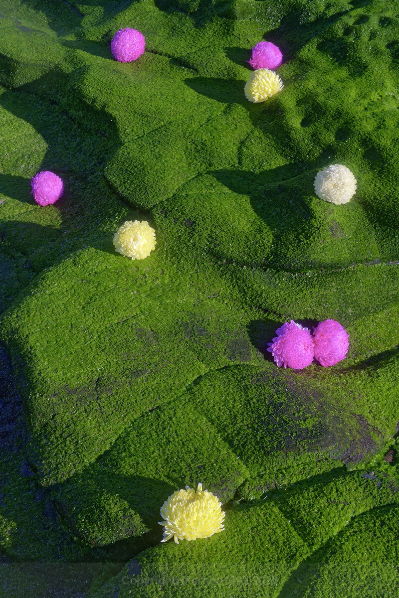 ENTROPY TRIPTYCH XVl-XVlll - ENTROPY 2023