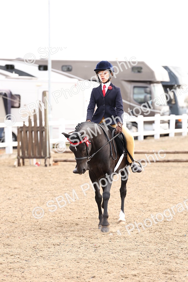 SBM_04246 - Class 54 - Riding Club Horse/Pony