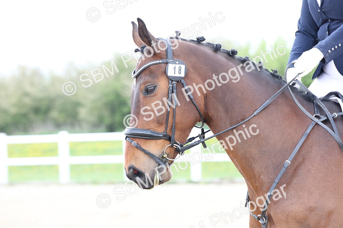SBM_006400 - Class 1-3 - Intro 1 Lead Rein-Intro 4