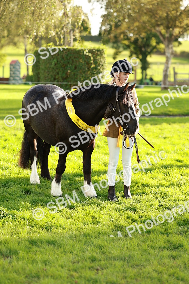 SBM_29285 - Novice & newcomer Supreme Championship