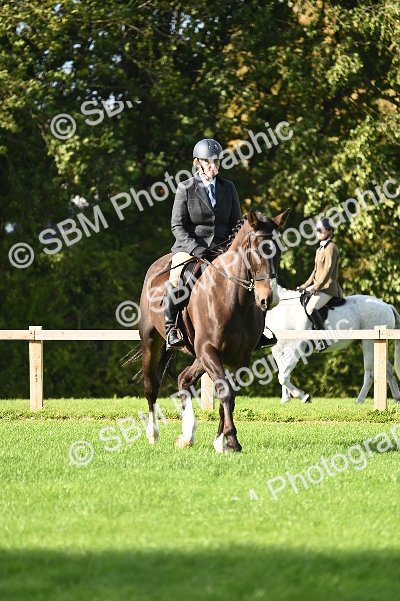 SBM_26429 - S6 - Novice & newcomer Ridden horse