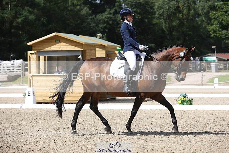 230812-113625-03806 - Cls 5 Novice Bronze 11.15 to 12.50 break