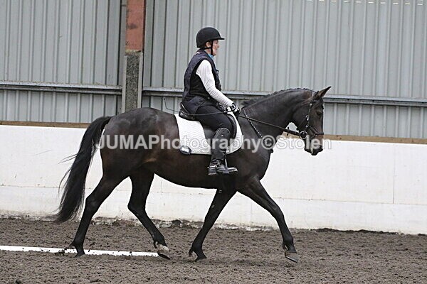 SIAL5385 - CAbin Dressage 5th july 2025