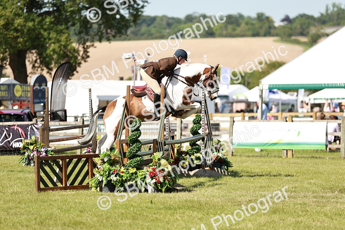 SBM_18786 - Class 114 - RIHS & SEIB Open Working Show Horse