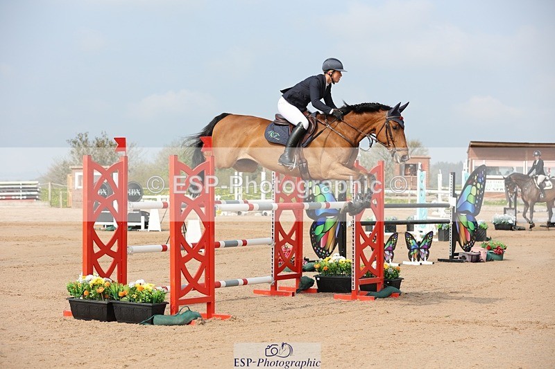 250424-102354-02987 - Cls 33 Young Horse 7yr old