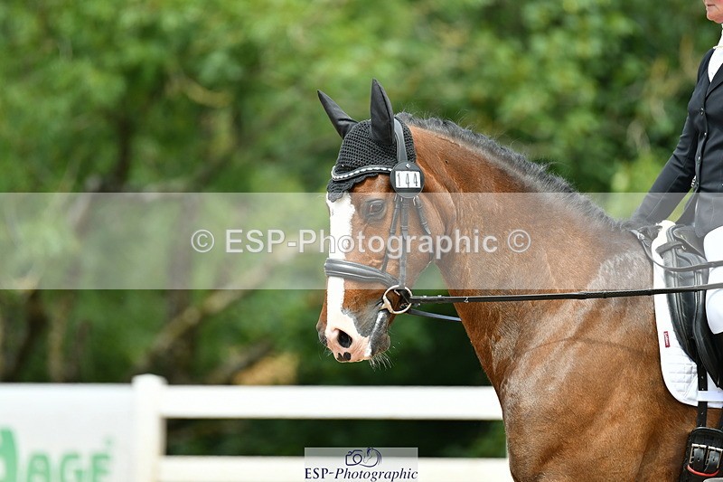 230702A-131032-09441 - Cls 29 Elementary 57