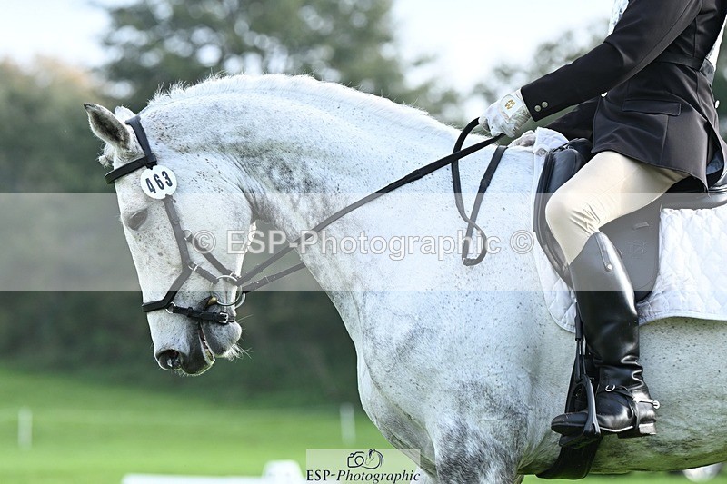 231020-093747-05711 - 463-HOLOGRAM.SCAIS-Chris.Brentnall-DR