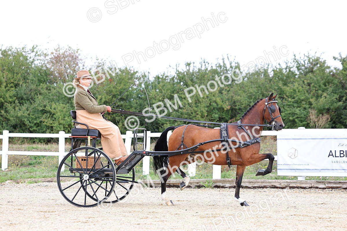 SBM_000273 - Class 2 - Exercise Vehicle 13.2hh & Under