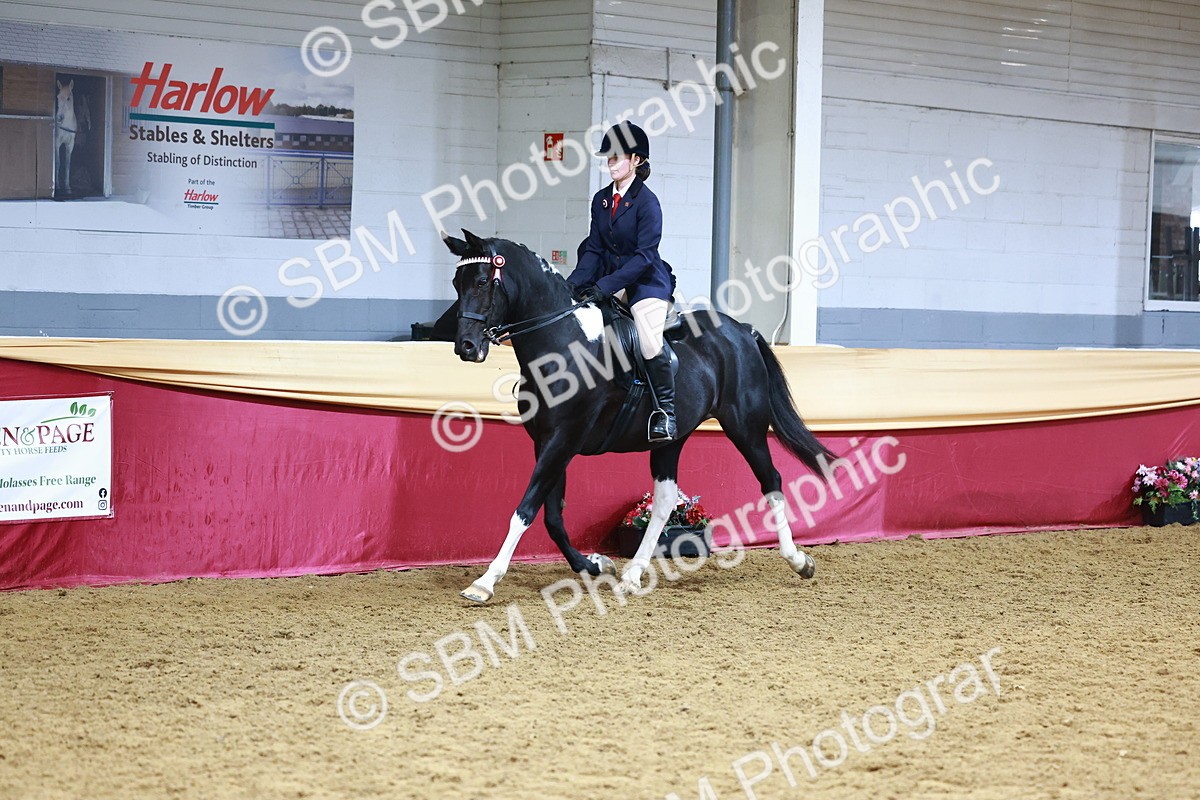 SBM_23395 - class 906 - Supreme Final - Ridden Pre Vet