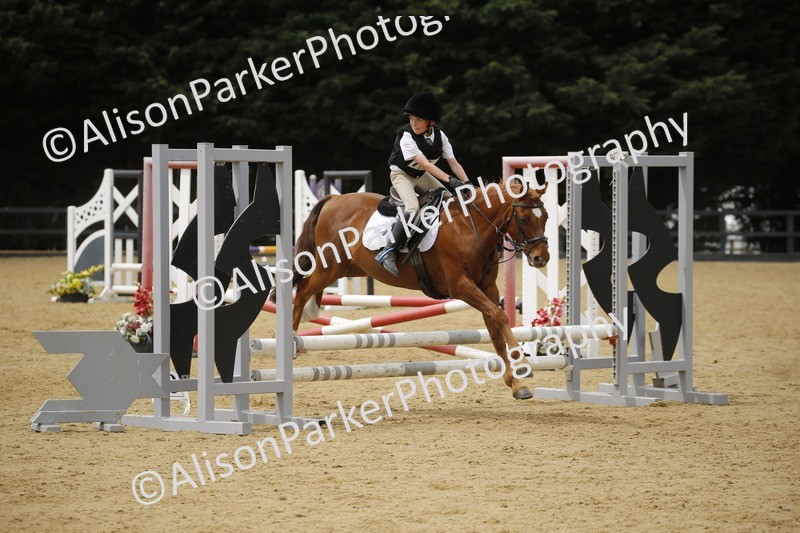 20250622-5909 - 60cm