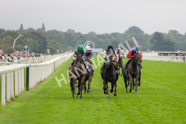 080924-Race 5-Quinault-4505 - Race 5 4.00pm Starman At Tally Ho Stud Garrowby Stakes