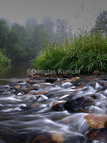 Painted Water - Allegheny National Forest