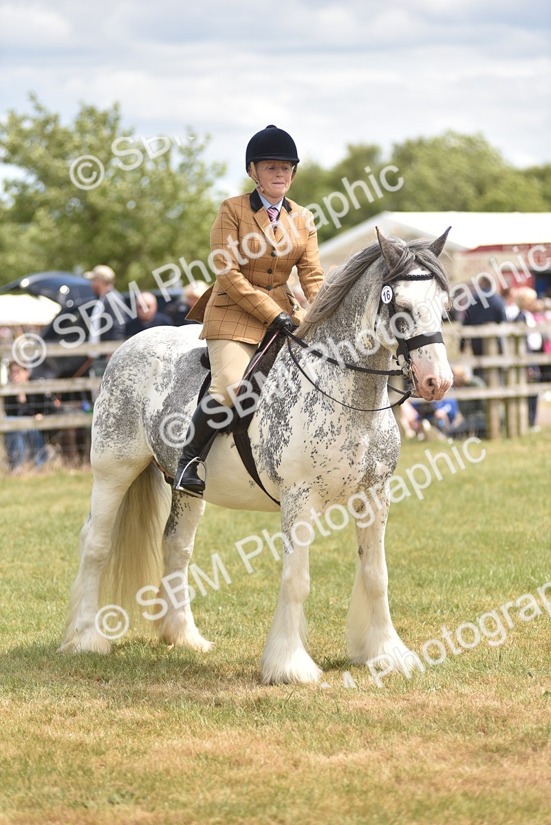 SBM_15860 - Class 115-116 - SSADL Home Produced Members Qualifier