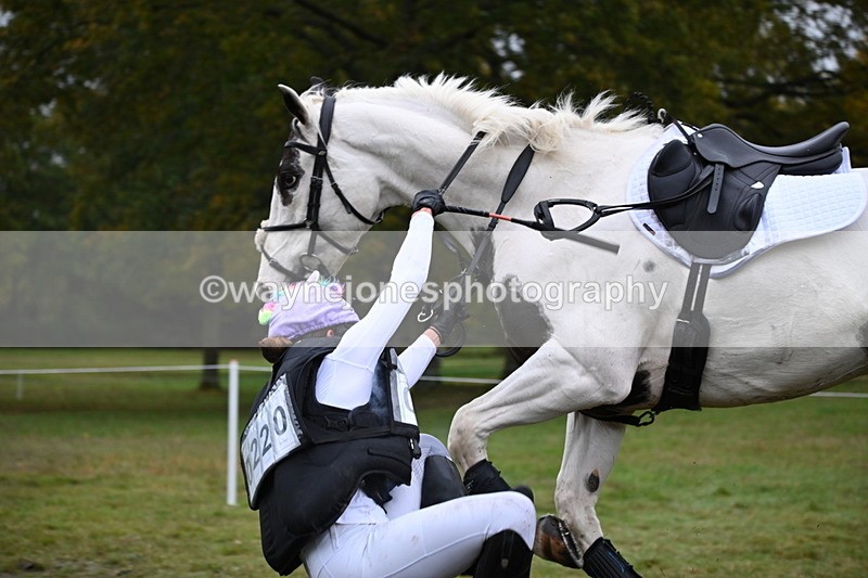 WJ6_3525 - 90cm Cam 1 Time 13:07 to 13:34