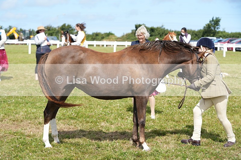DSC05546 - Class 50: NPS M&M 4 years and over Small Breeds