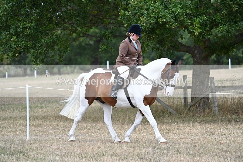 WJ7_4779 - Class 12 Ridden Cob