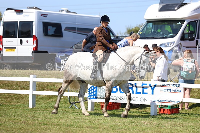 3E7A7461 - Rising Star Ridden Championship