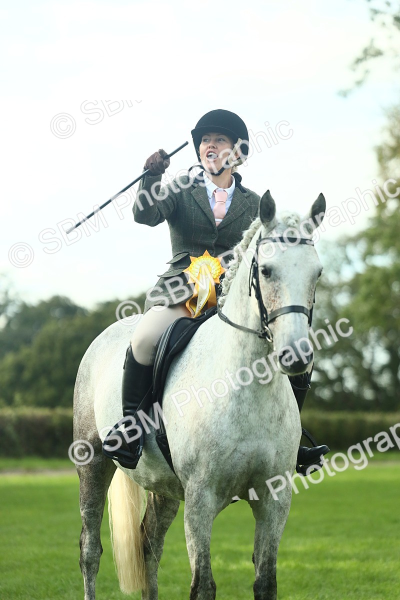 SBM_52229 - S33 - Working Hunter & Working Show Horse
