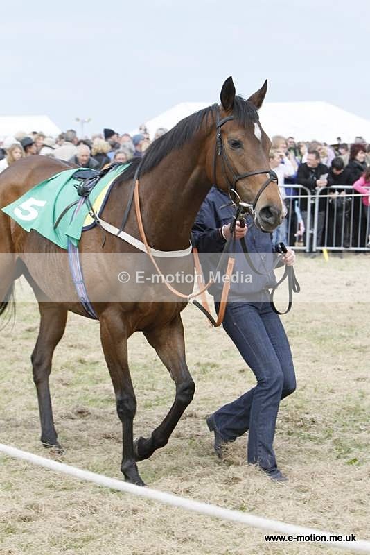  GRD 030510 33 - Guernsey Race Day 03/05/10