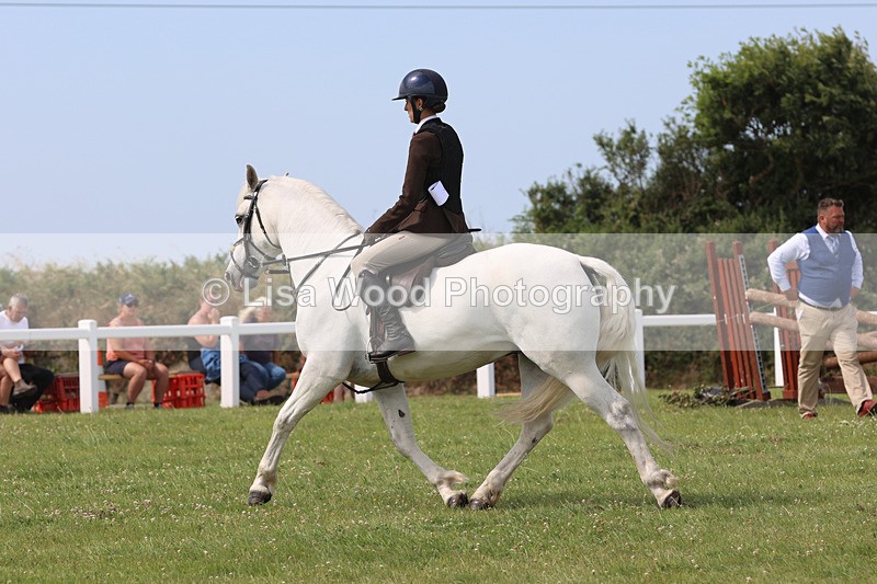 JPP_3886 - Class 23: Working Hunter 80cm