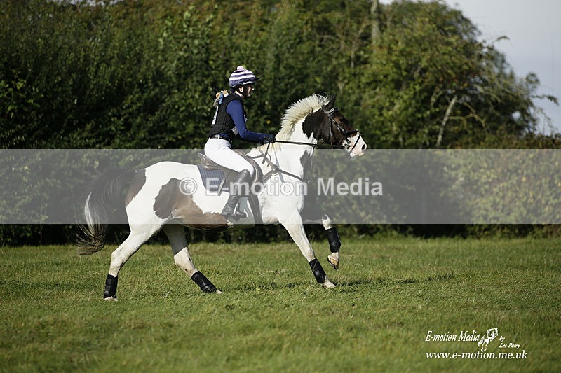  WWHT 031021 482 - WWEC Novice Restricted (0.80m) 18/10/20