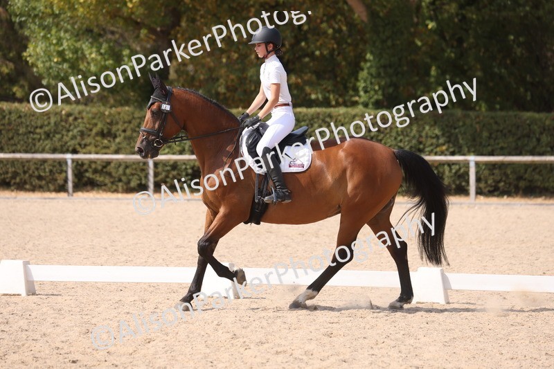 20260815-1087 - Class 6 - Novice 2