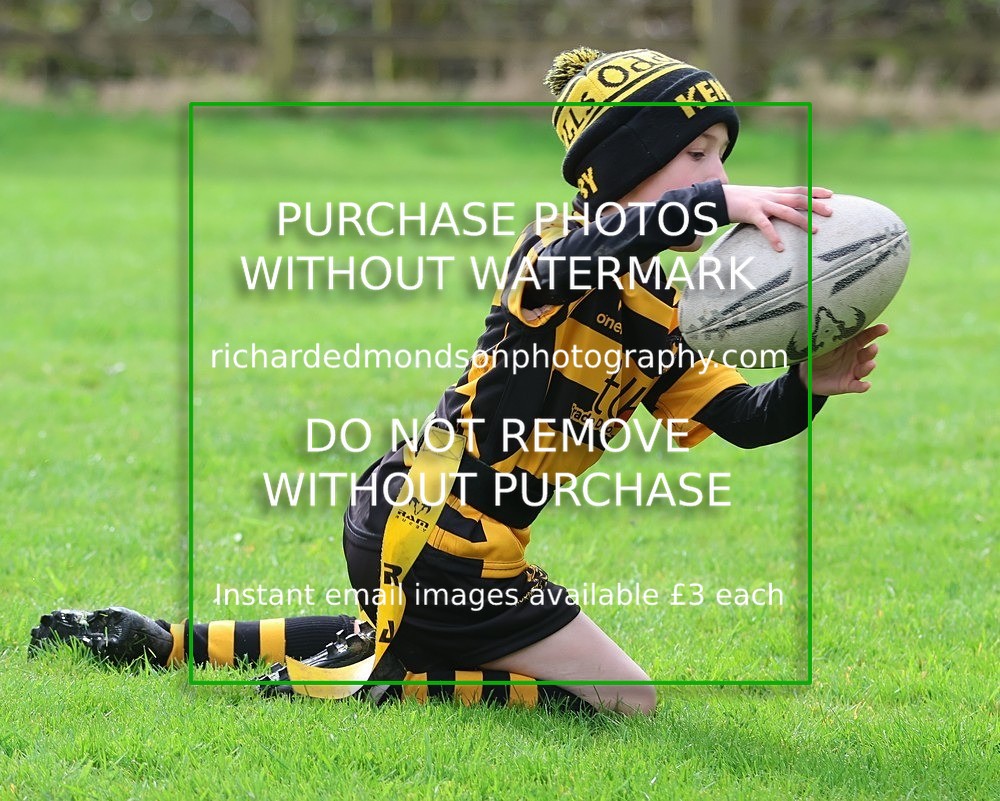 533A4890 - Kendal Rugby Under 7's (12/4/26)