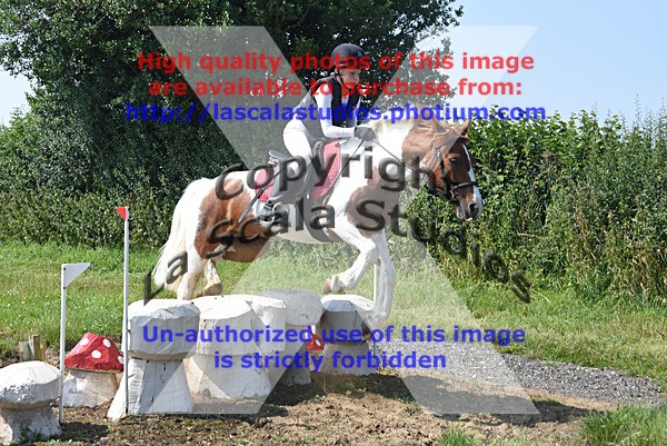 SNCP_0191 - N Group