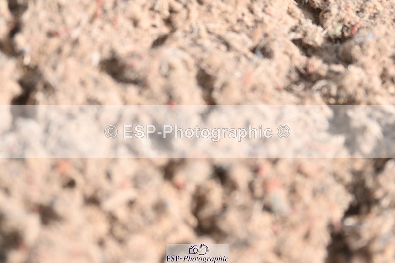 240622A-102217-08180 - Cls 28 BD Music Novice