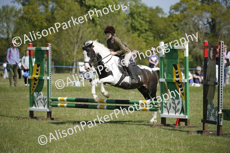 20250427-2197 - Class 13 - Novice Jumping 60cm
