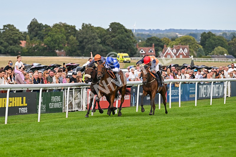 300826-Race 6-Court Legend-1528 - Race 6 4.30pm Return Of The Legend Martin Spencer Nursery Handicap