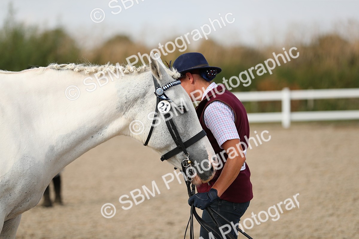 SBM_08608 - Class 28 - IH Veteran Horse