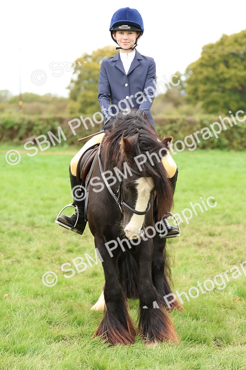 SBM_67533 - S60 - Mini Show Cob Ridden