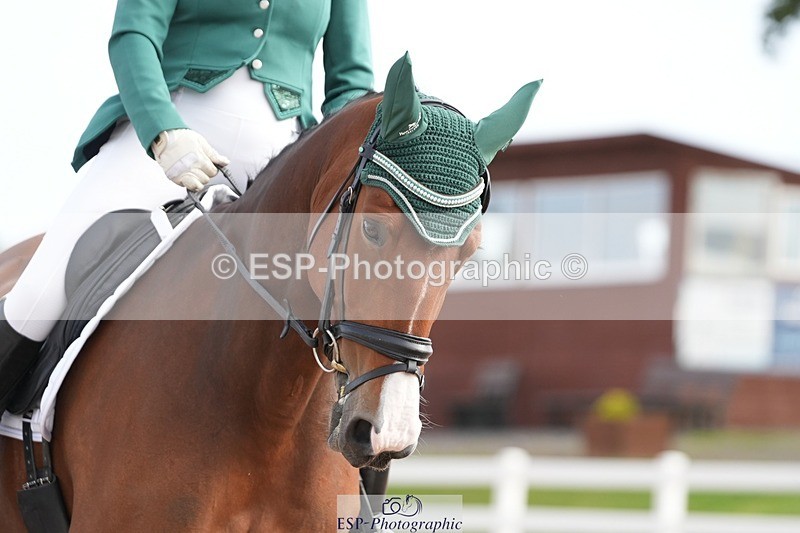 250906-100212-01413 - 001-Tracy.OKennedyWylye.Harlequin