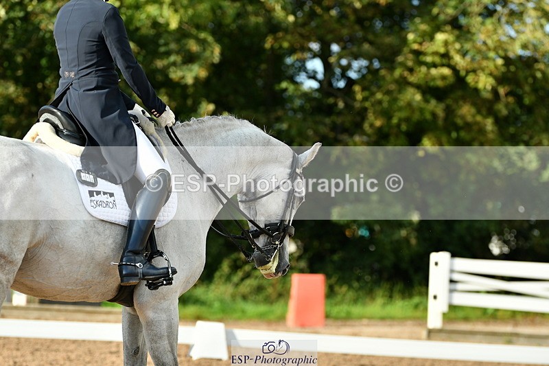 230912A-173358-02074 - Cls 23 FEI Grand Prix